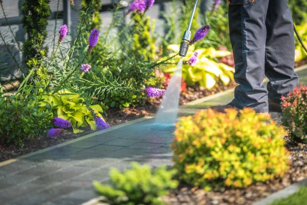 Best Sidewalk and Walkway Cleaning  in North Tonawanda, NY